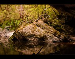 Oparara Basin 3