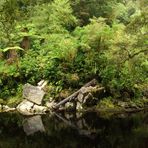 Oparara River