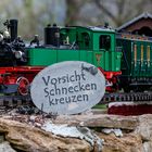 Opas Gartenbahn