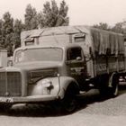 opas lkw