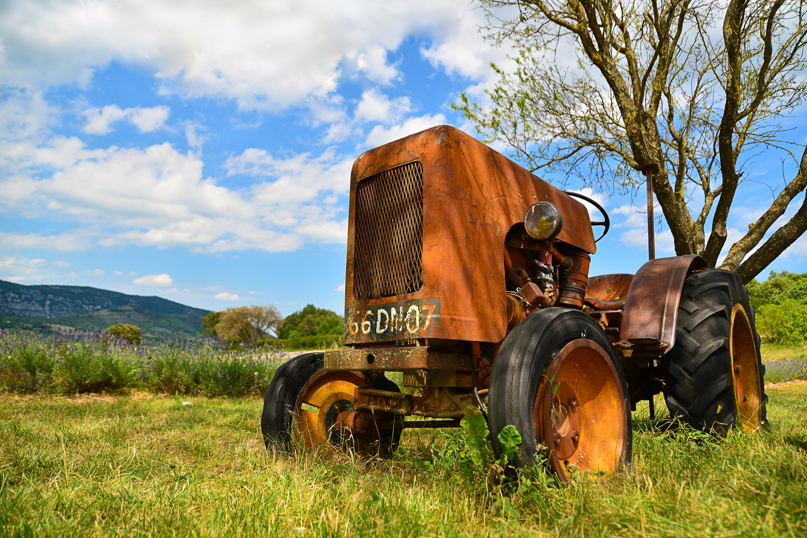 Opa's Tracktor