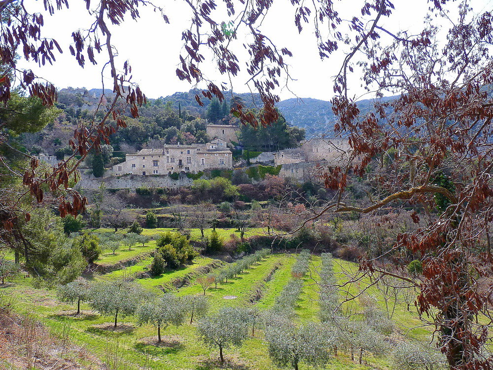 Opède le Vieux