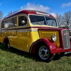 Opel Blitz Bus