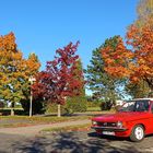 Opel Kadett C Herbstimpressionen aus dem Westerwald