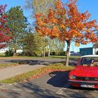 Opel Kadett C Herbstimpressionen aus dem Westerwald