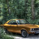 Opel Manta im Wald