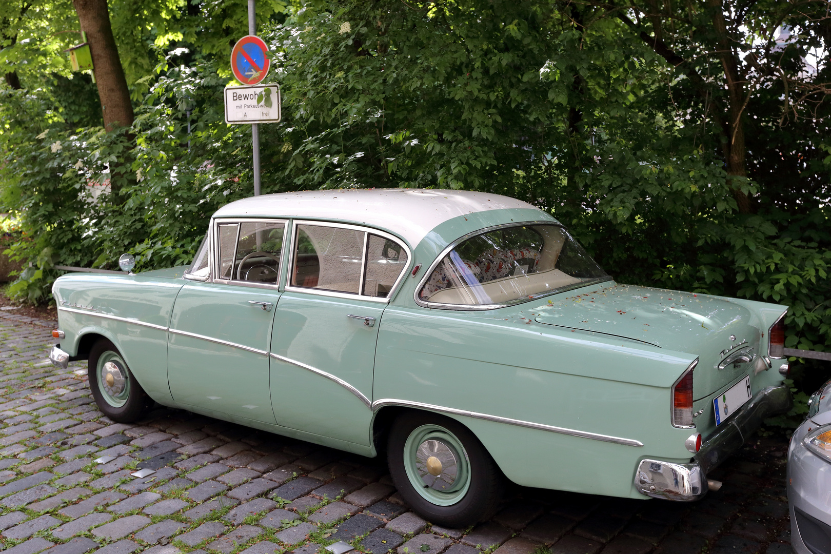 Opel Olympia Rekord - Ansicht von hinten