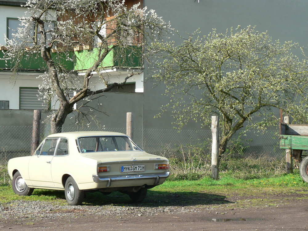 Opel Rekord 1700