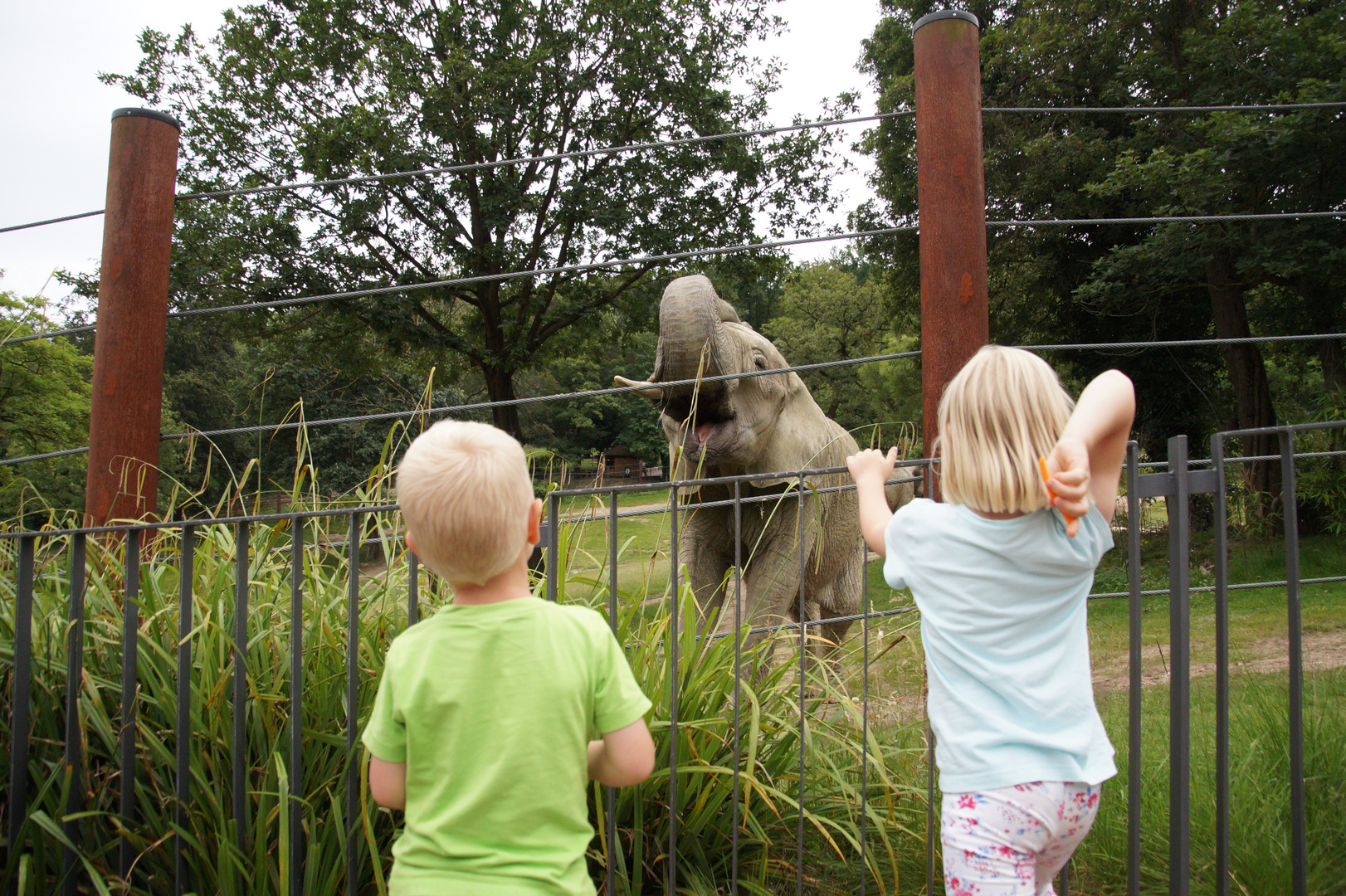 Opel Zoo Kronberg im Taunus