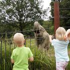 Opel Zoo Kronberg im Taunus