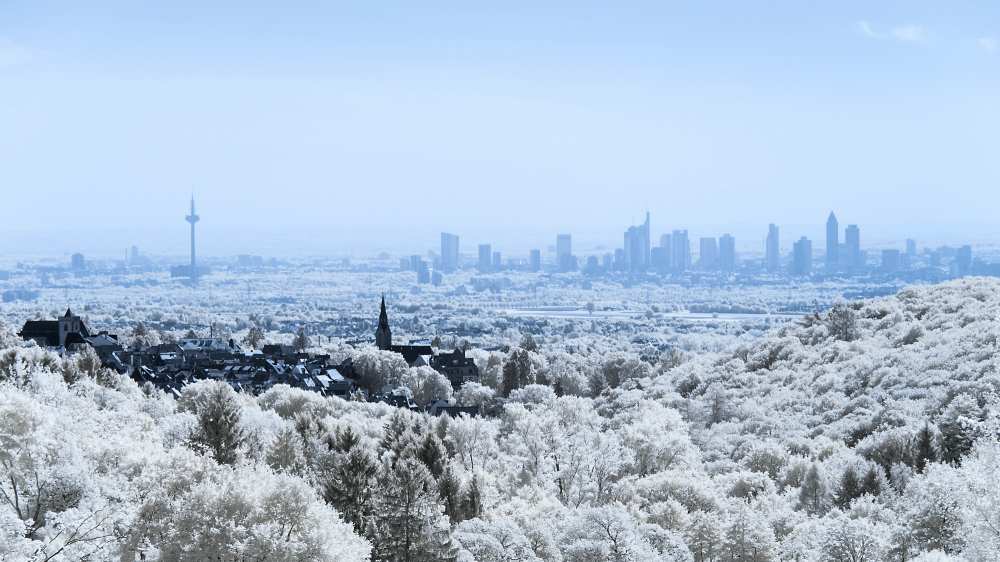 Opelzoo Blick