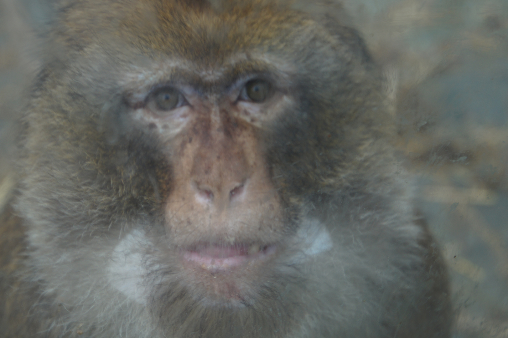 Opelzoo Kronberg im Taunus Bild 3