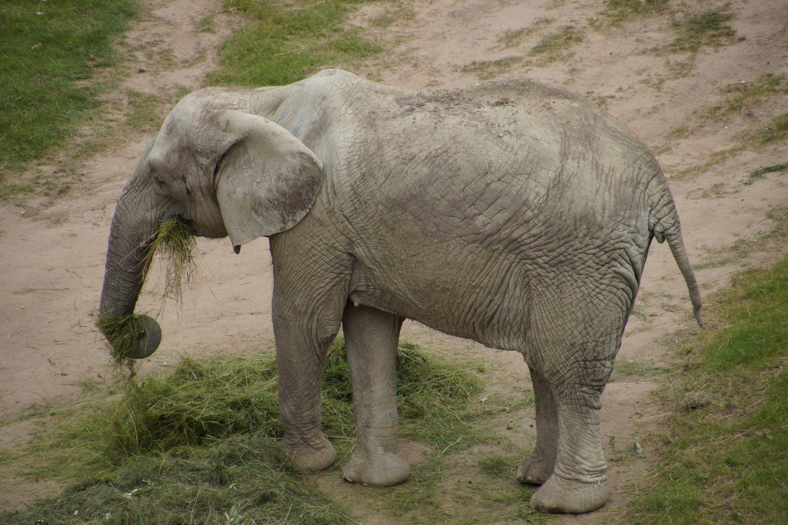 Opelzoo Kronberg im Taunus Bild 6