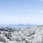 Opelzoo Panorama