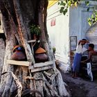 Open Air Barber