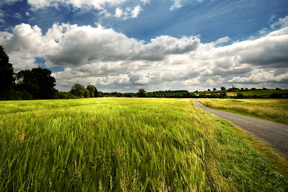 Open Road.