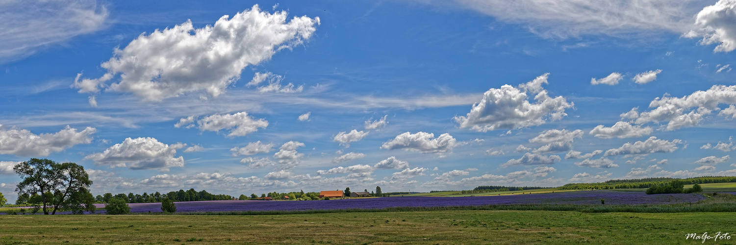 Open Skies