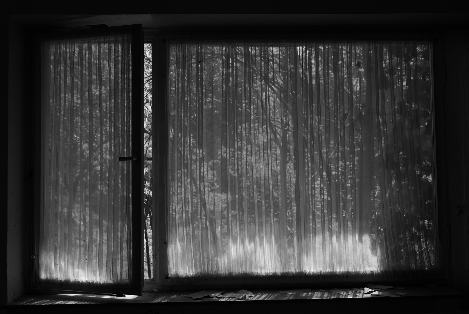 Open Window