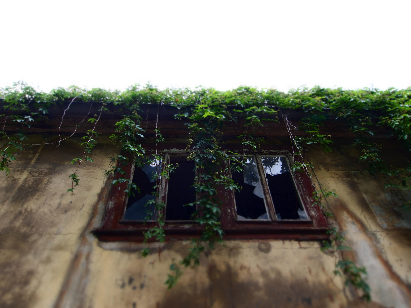 Open Window in Meißen