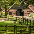 Openluchtmuseum - Oootmarsum/Niederlande