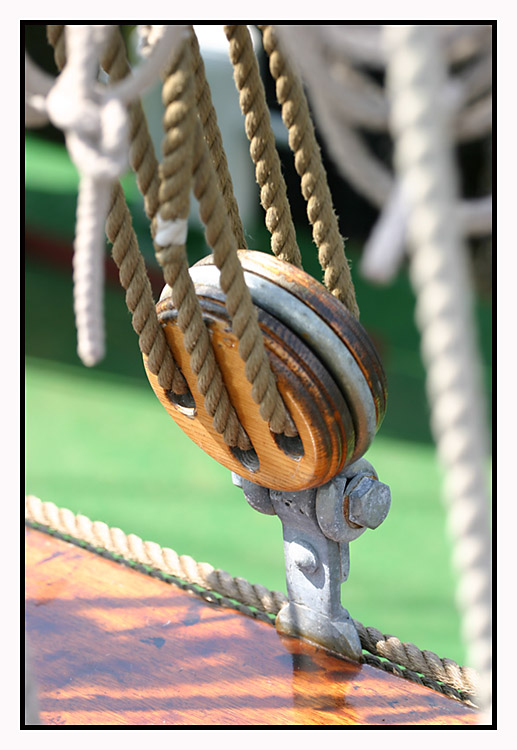 Openship 2007 in Cuxhaven