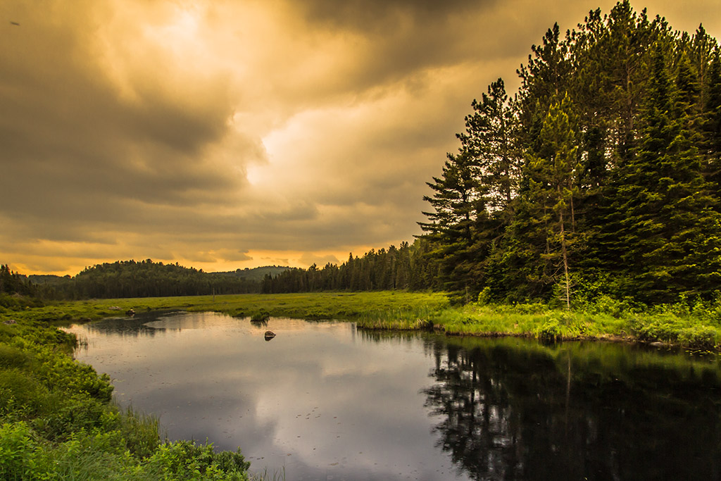 Opeongo Lake