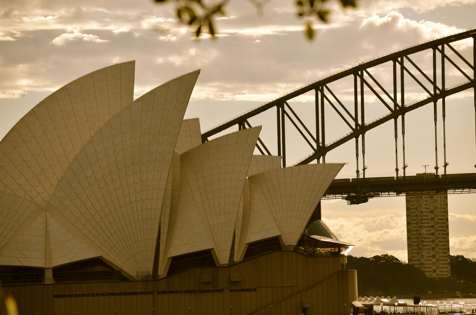 Oper mit Blick auf die Harbourbridge