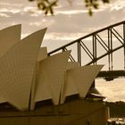 Oper mit Blick auf die Harbourbridge