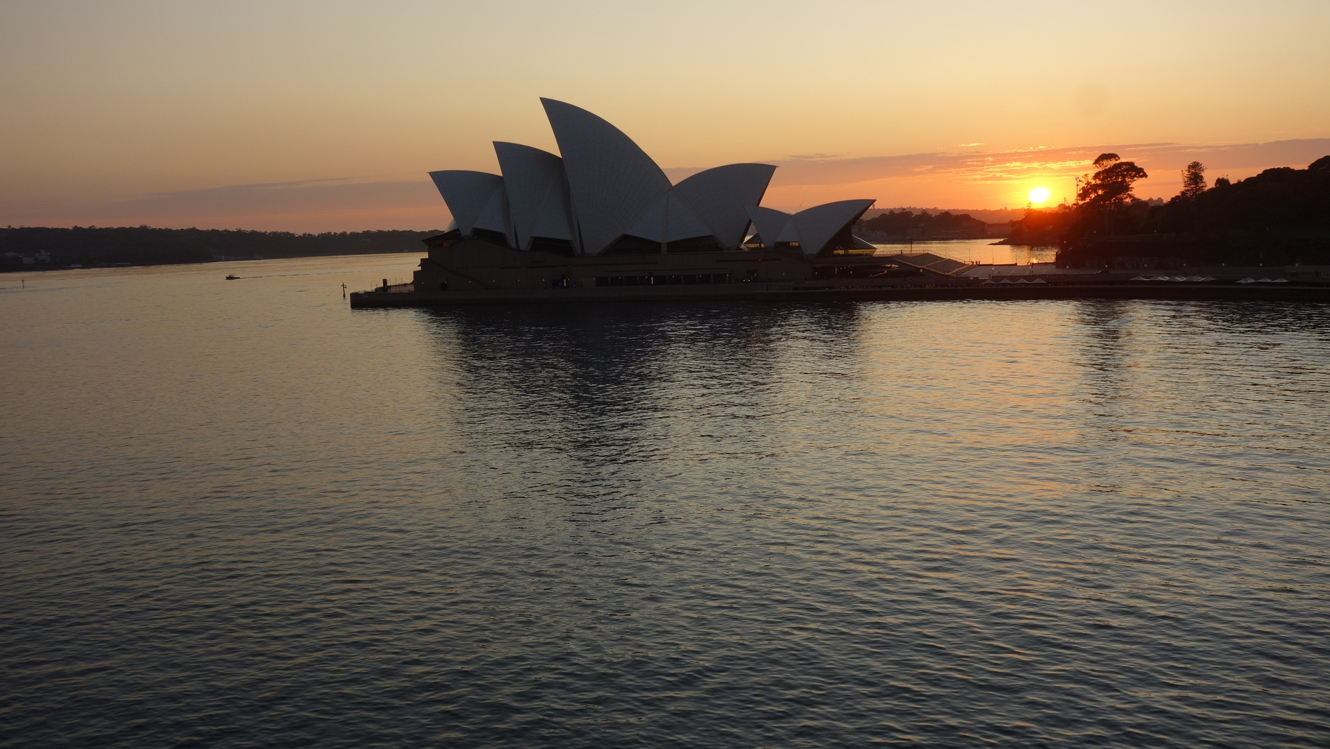 Opera House Sydney at dawn