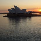 Opera House Sydney at dawn