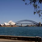 Opera House und Harbour Bridge