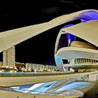 Opera House Valencia