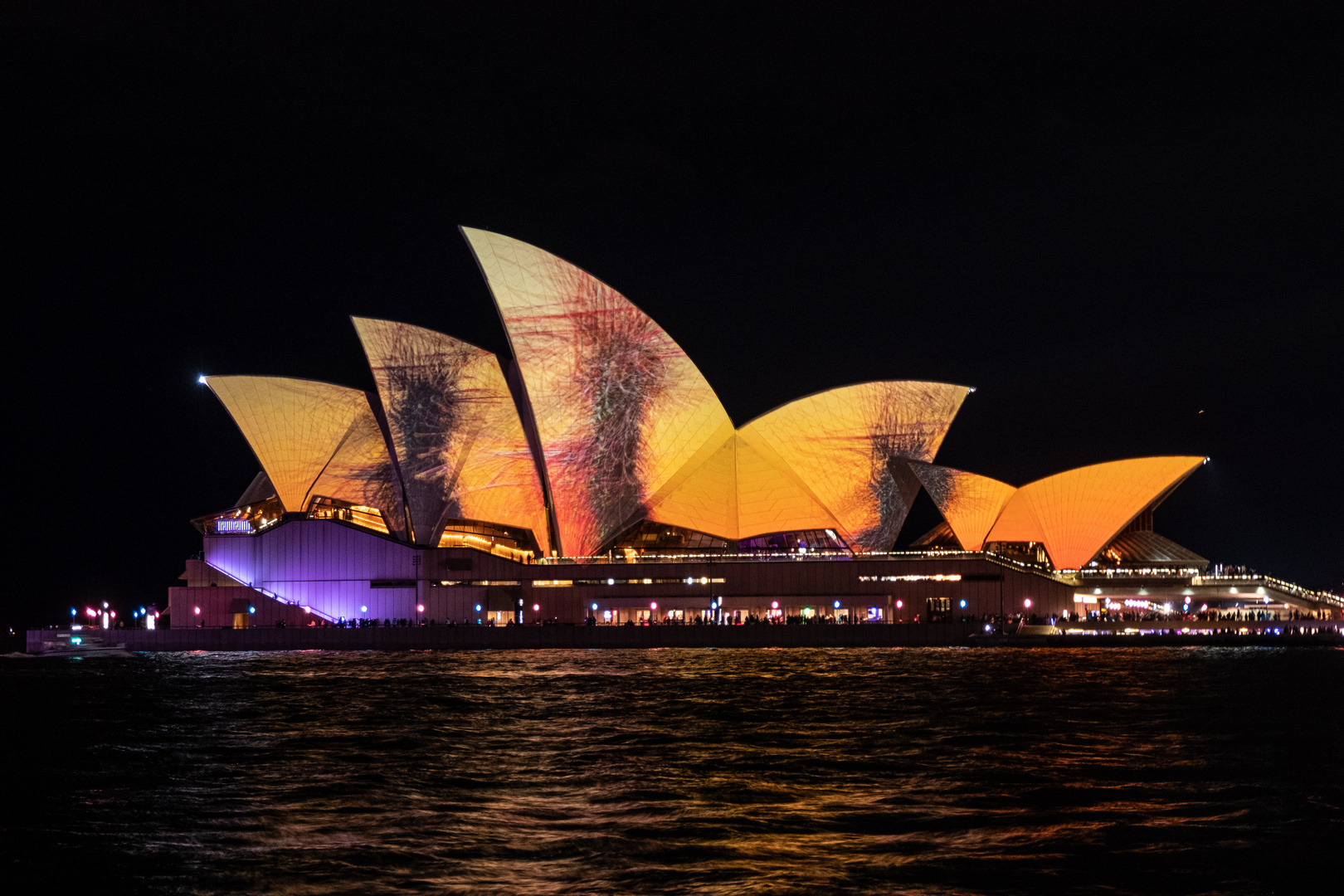 OPERA HOUSE - VIVID FESTIVAL