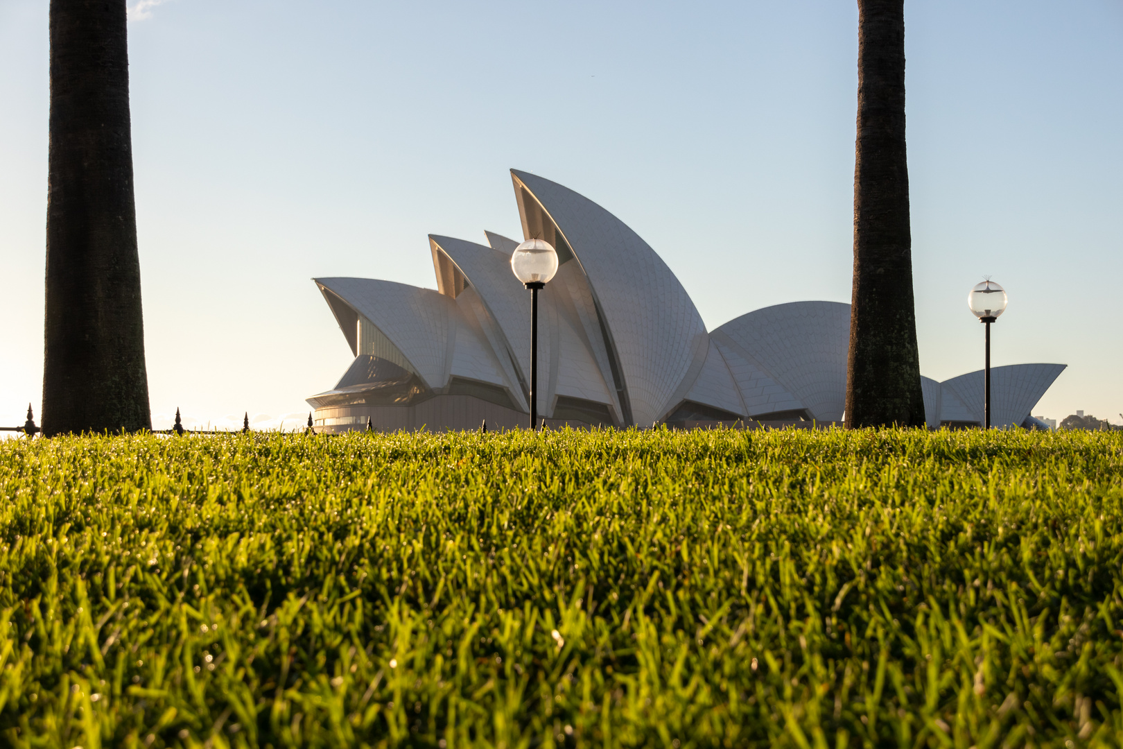 Opera on the Lawn