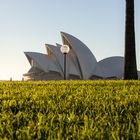 Opera on the Lawn