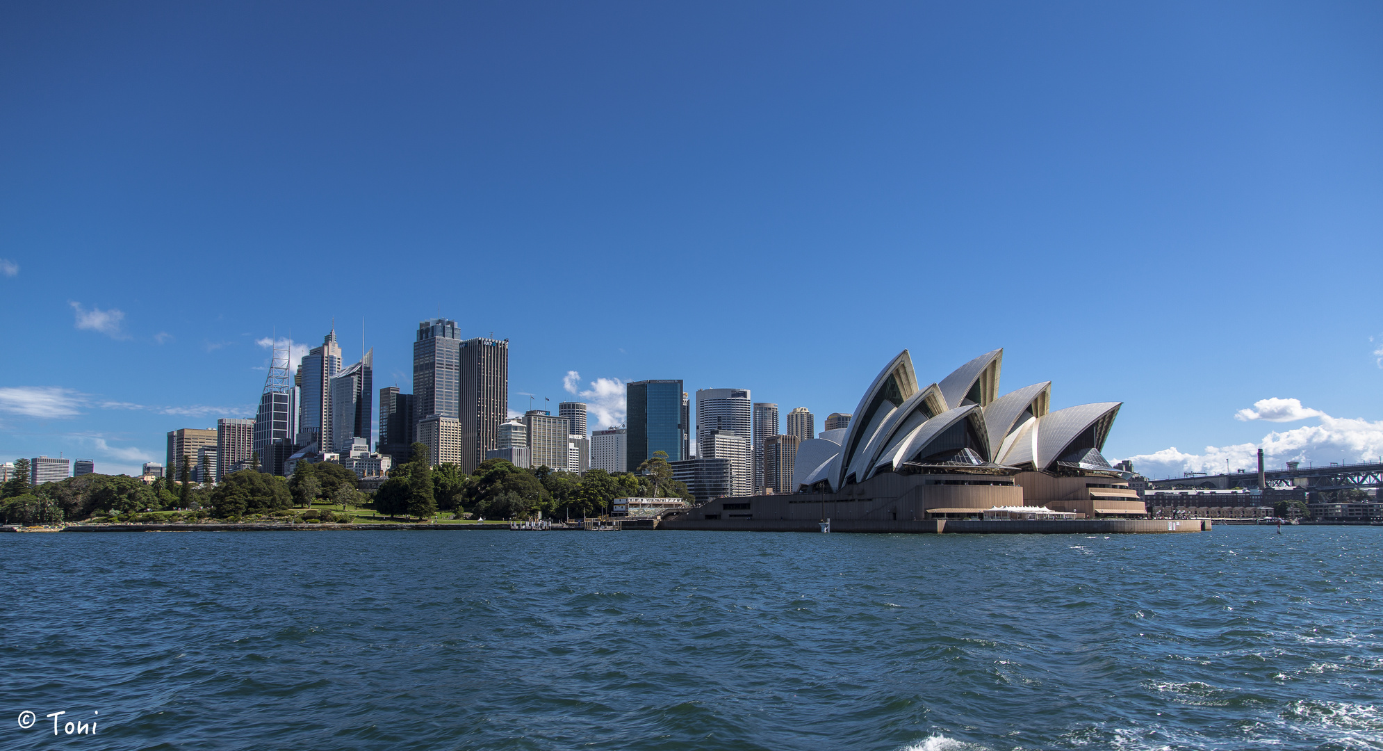 Operahouse and skyline