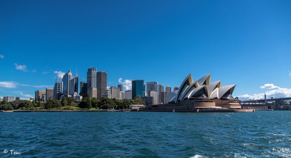 Operahouse and skyline