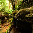 Opferplatz, Monkey Forest, Ubud, Bali