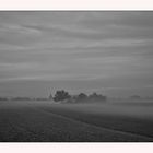 Opfikon - Felder im Nebel