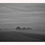 Opfikon - Felder im Nebel