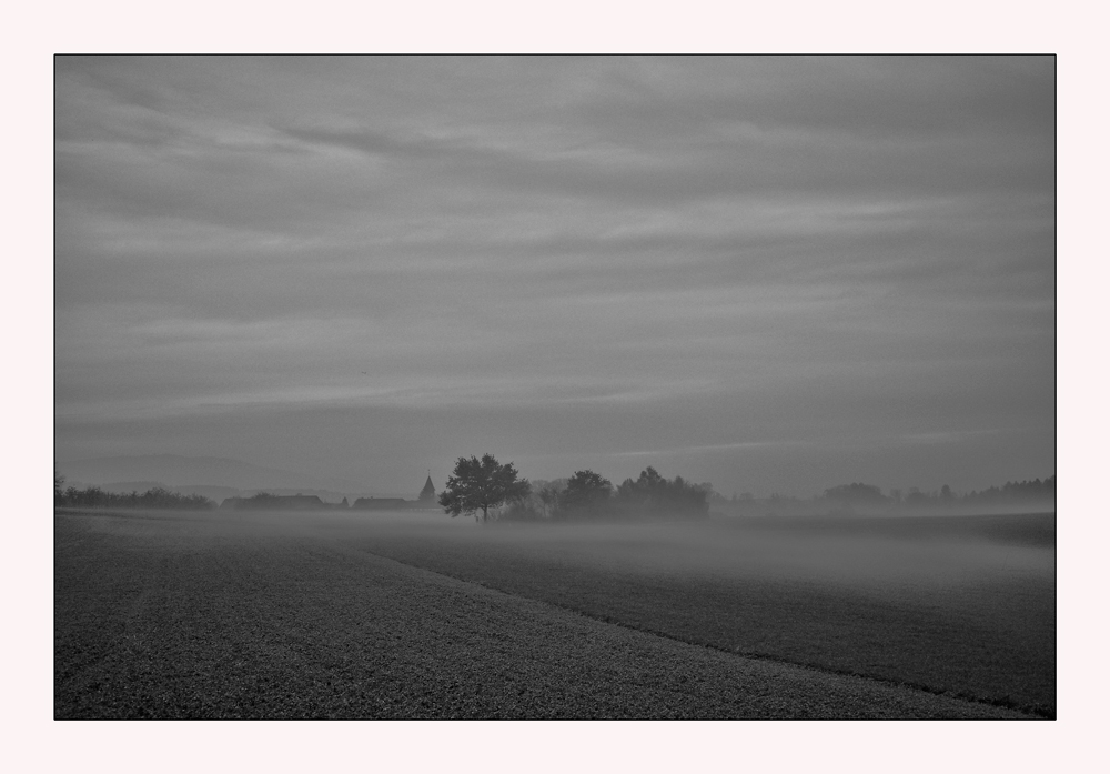 Opfikon - Felder im Nebel