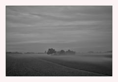 Opfikon - Felder im Nebel