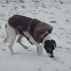 Ophelia im Schnee