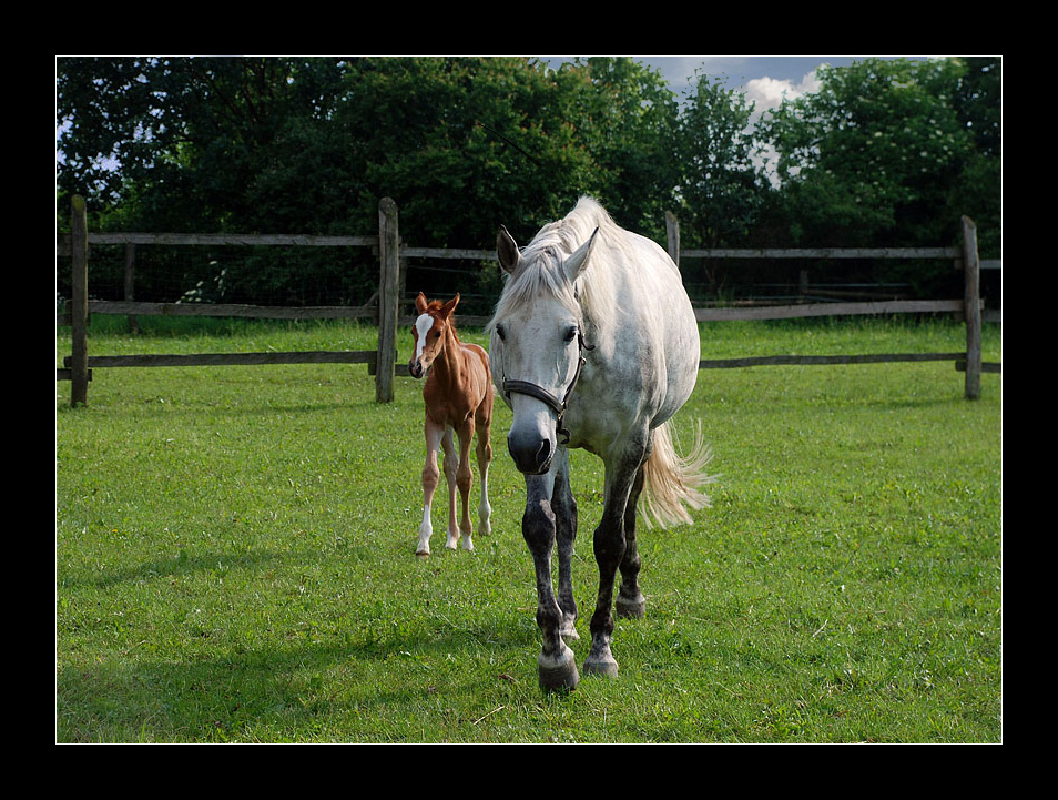 Ophelia und Mama