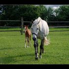 Ophelia und Mama