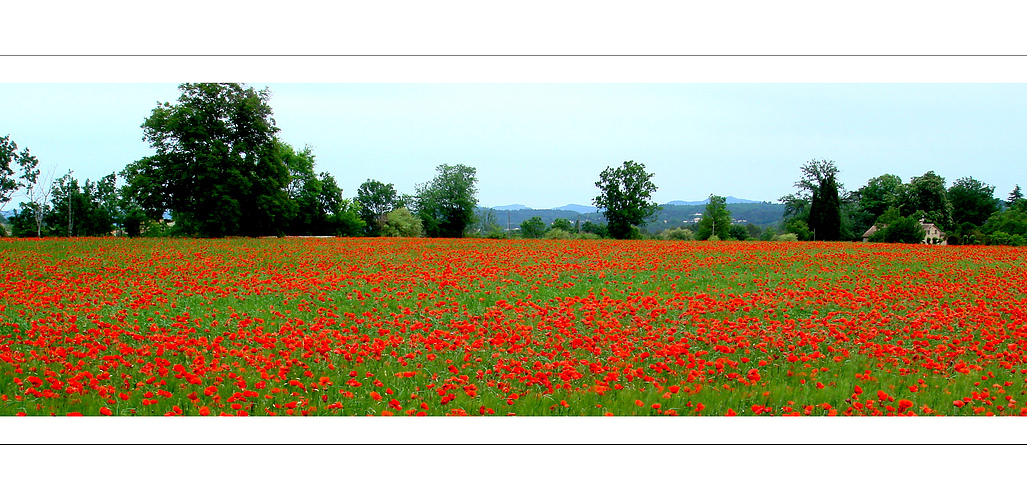 Opium für die Augen ( provencalische Farben II )