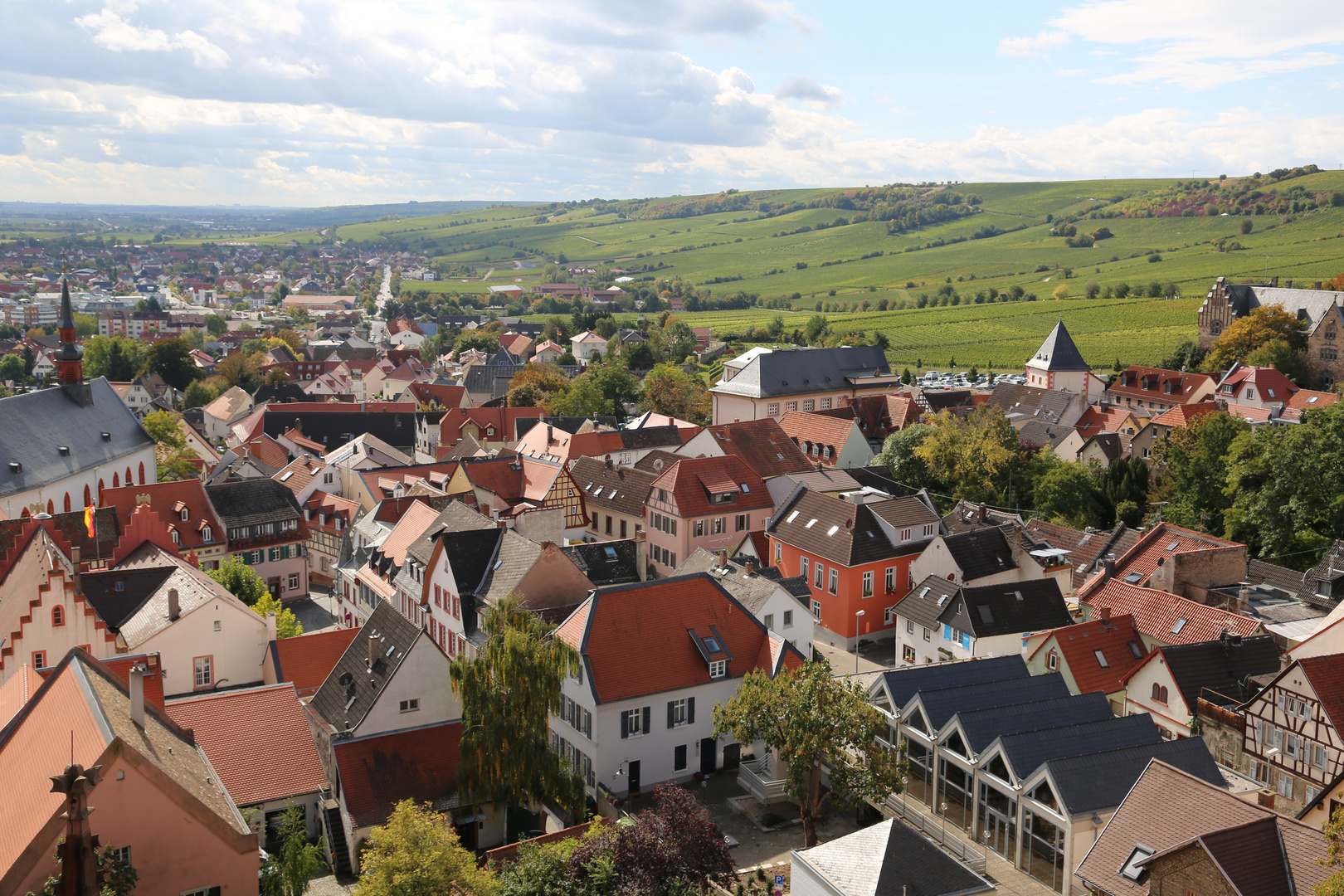 Oppenheim - Blick von der Katharinenkirche nach Süden