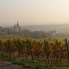 Oppenheim: Die Katherinenkirche und herbstliches Weinlaub