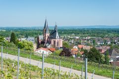 Oppenheim -Katharinenkirche 63