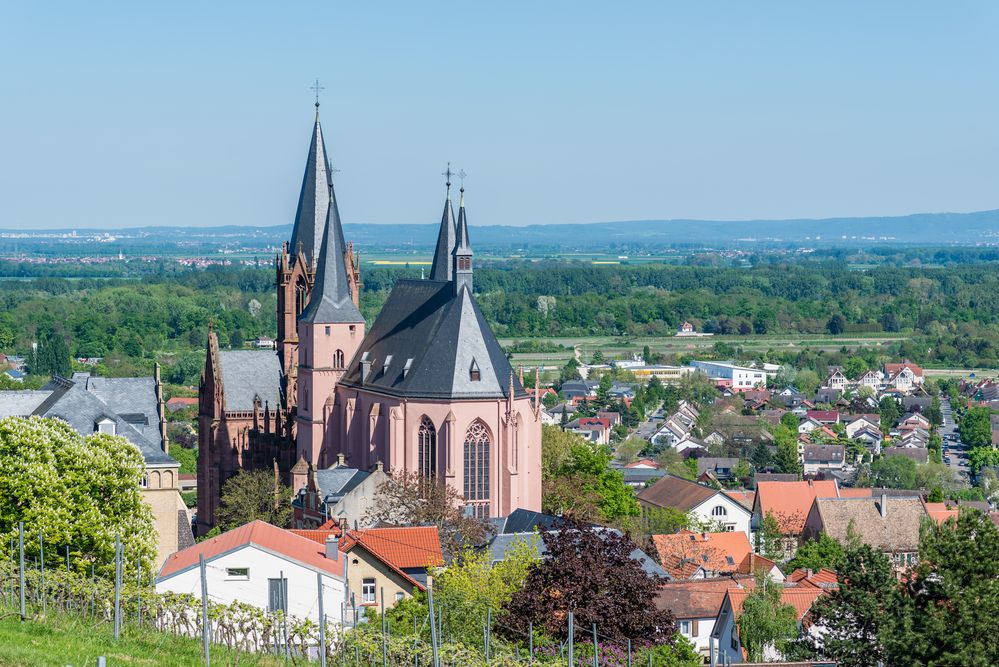 Oppenheim -Katharinenkirche 75